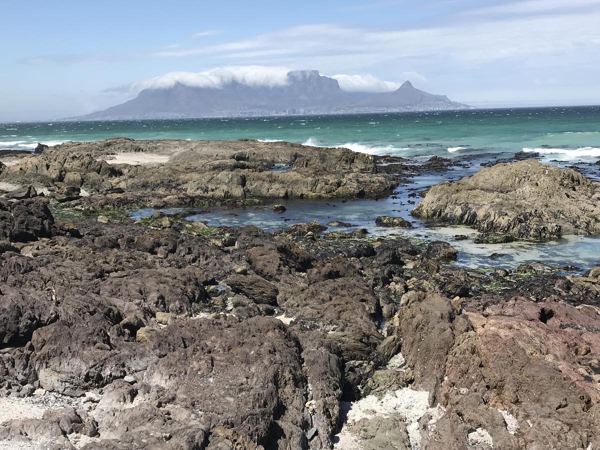 Atlantic Haven Appartement Bloubergstrand Buitenkant foto